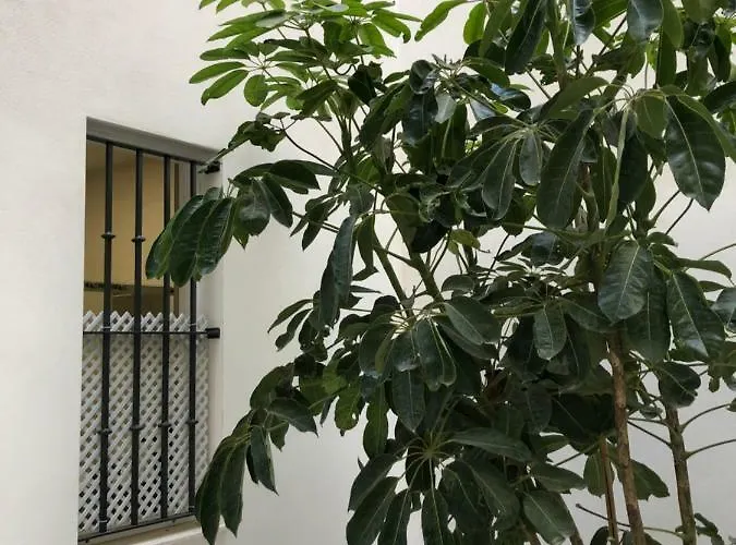 Apartmán Jano Puertatierra