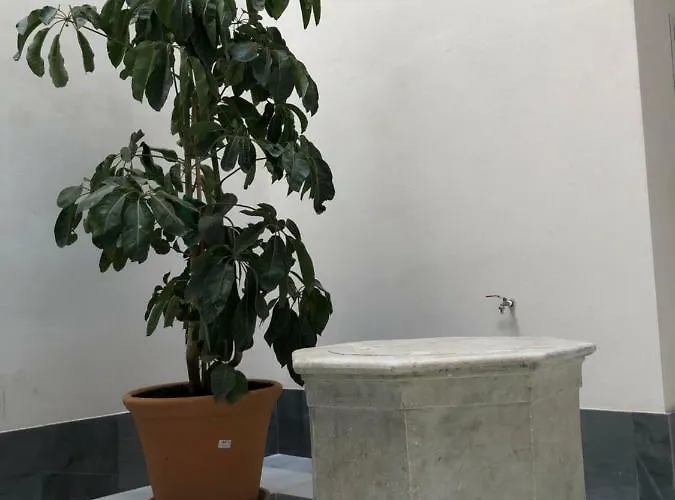 Apartmán Jano Puertatierra Cádiz